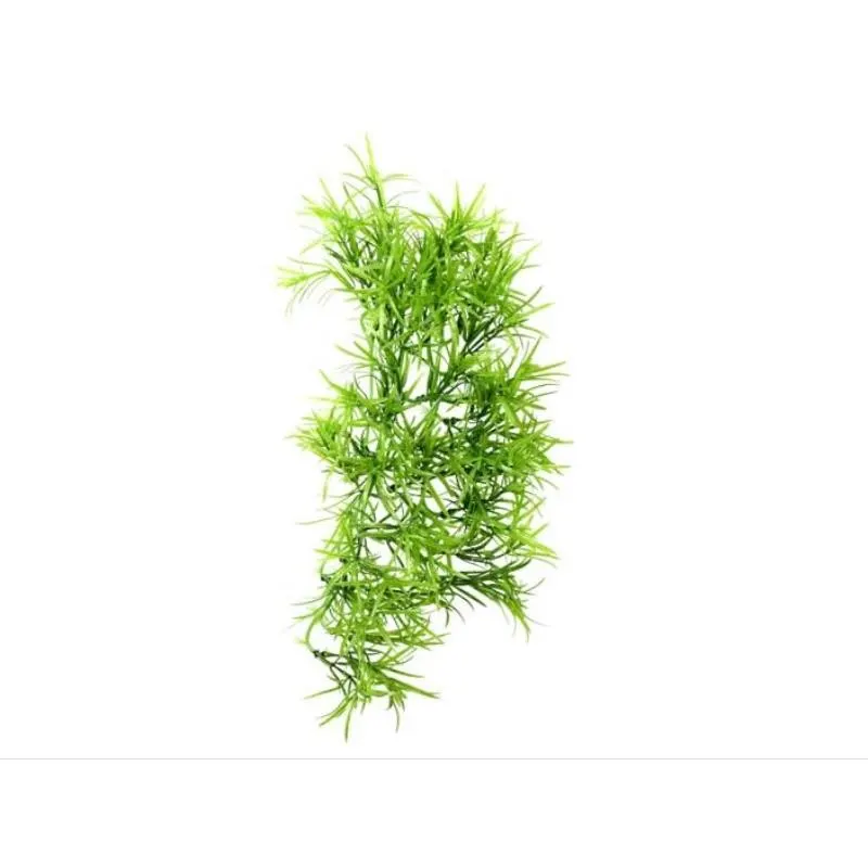Planta cataratoare terariu Hobby Climber Tropica 37cm