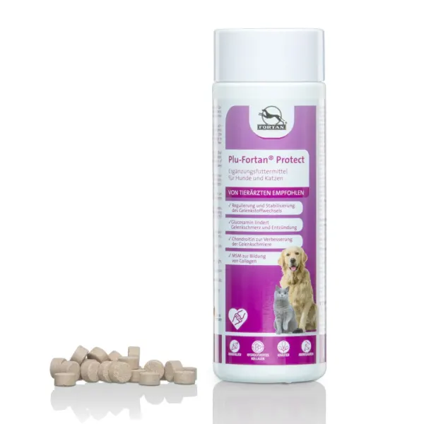 Plu-Fortan Protect, 350 tablete