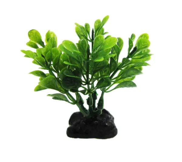 Resun Planta Plastic Boxwood Green 8 cm