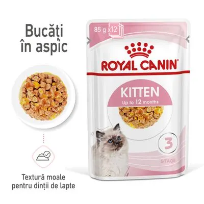 Royal Canin Kitten Plic in Jelly, 12 X 85 Gr