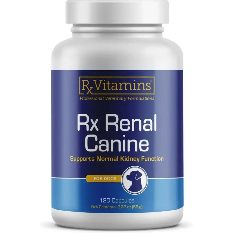 RX Renal Caine - 120 capsule