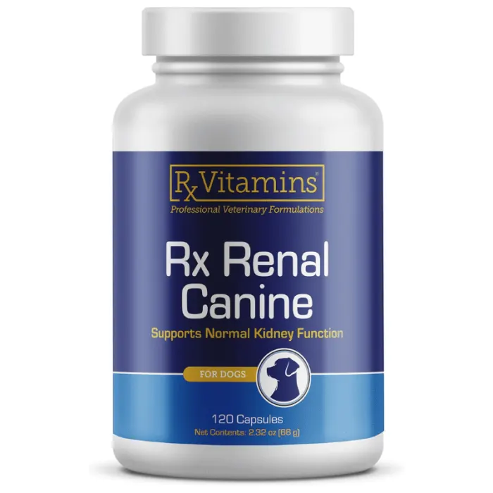 RX Renal Caine - 120 capsule