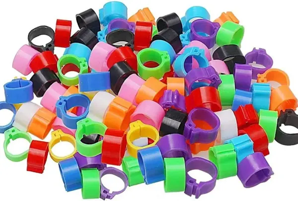 Set 100 inele pentru pasari, Plastic, 8 mm, Multicolor