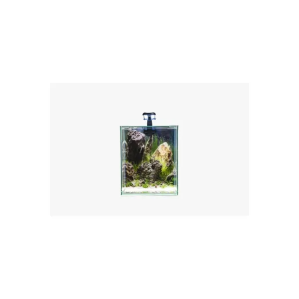 Set acvariu Diversa 19l (25x25x30cm) NEOlight 20 background plante