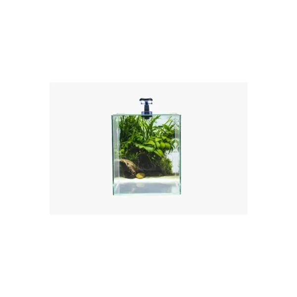 Set acvariu Diversa 31l (30x30x35cm) NEOlight 30 Backgroundplante