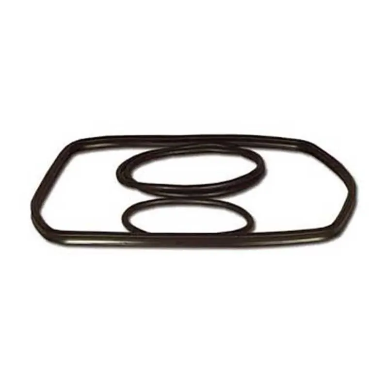 Set garnituri canistra Eheim 2080 2180