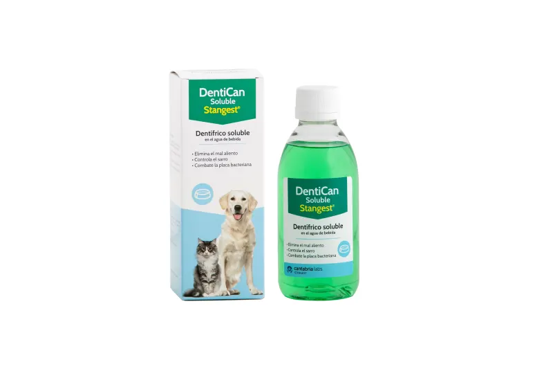 Solutie pentru igiena bucala DENTICAN Solubil, STANGEST, 250ml