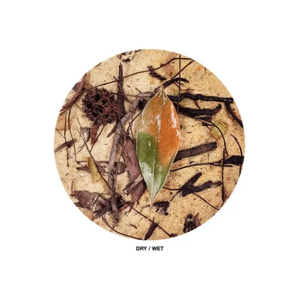 Substrat decorativ acvariu sau terariu WIO Everglades 5 Kg
