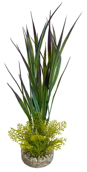 Sydeco Planta Amazon Grass 21 cm 380294