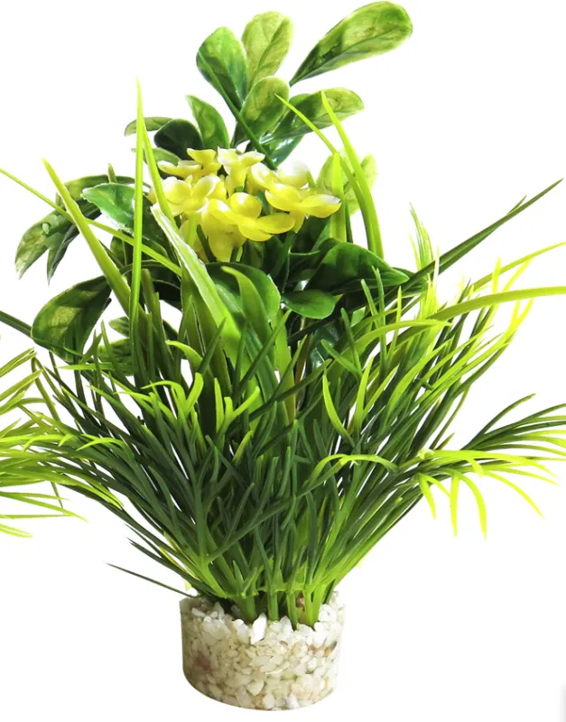 Sydeco Planta Blooming 15 cm 350116