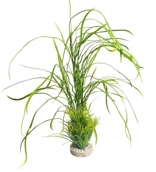 Sydeco Planta Lily Grass Maxi 45 cm 350152
