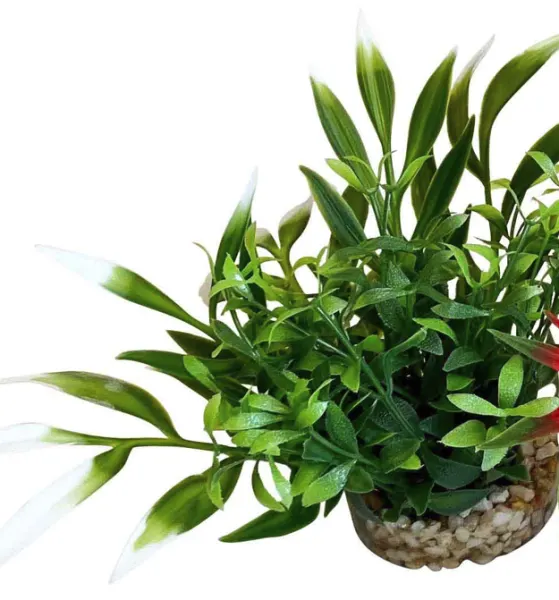 Sydeco Planta Magic Nano Garden 10 cm 380266