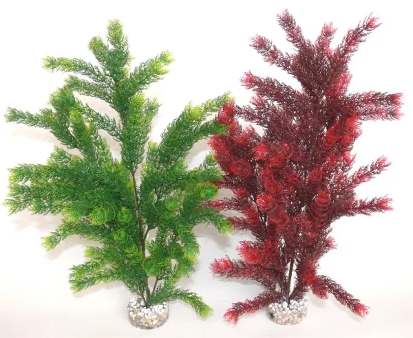 Sydeco Plante Sea Pearl Maxi 45cm 350119
