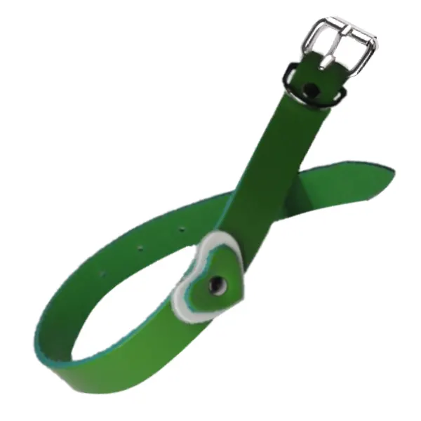 Zgarda Caine Streetside Inima 2.0/45 cm Verde Nr 2