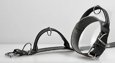 Zgarda din piele Frabo 50mm/55cm
