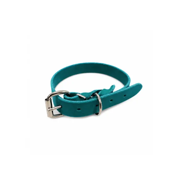 Zgarda din piele simplă - Turcoaz - 35 cm