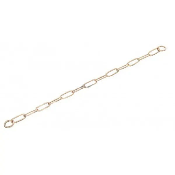 Zgarda lant Curogan 3mm/61cm