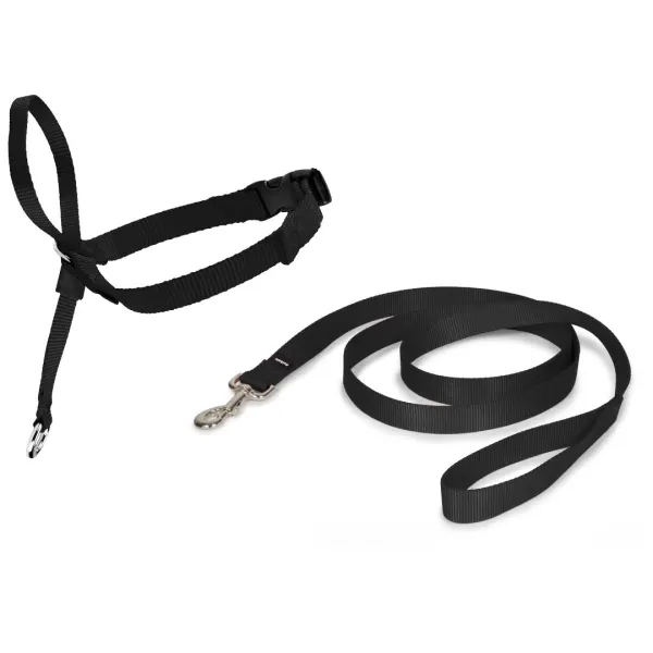 Zgarda tip capastru PetSafe Easy Walk, negru - S